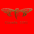 Cicada3301
