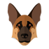 GSD