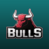 BULLS